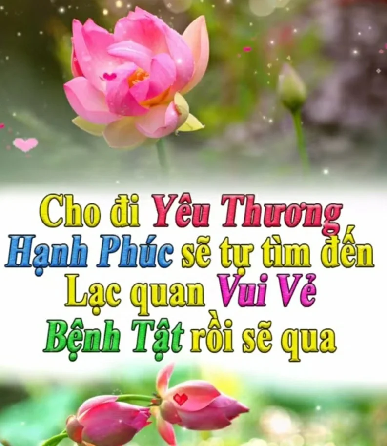 Sen Nguyễn's cover photo