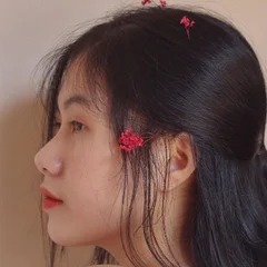 Bích Phương's profile picture