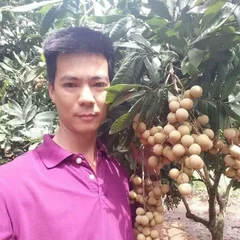 Hồng Thắm ĐSHY's profile picture