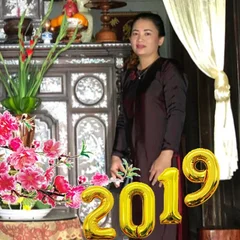 Thư Minh's profile picture