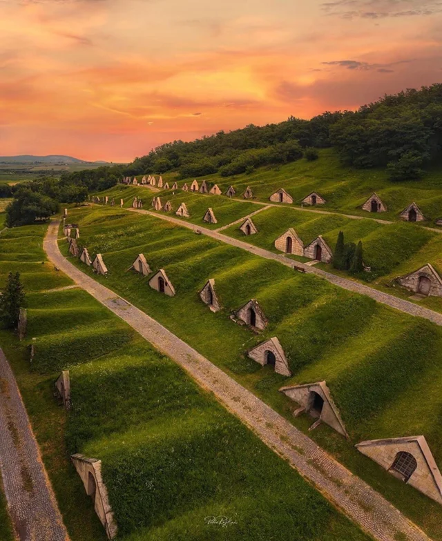 Beautiful Tokaj wine region, Hungary 😍