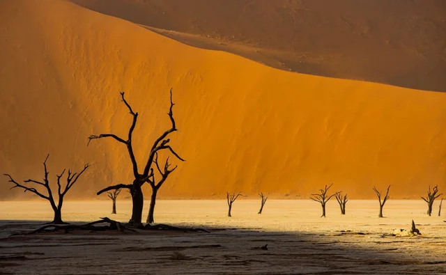 Thung lũng chết Sossusvlei Namibia 🇳🇦 

🌄 Sossusvlei nằm trong Vườn Quốc Gia Namib-Nauk