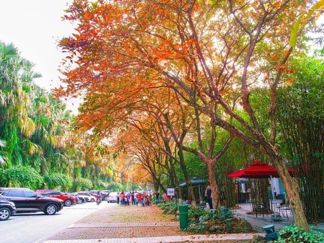 Người ta thường nói mùa thu cây vàng lá đổ..!
Nhưng đông này bạn đã biết nơi nào tại Hà Nộ