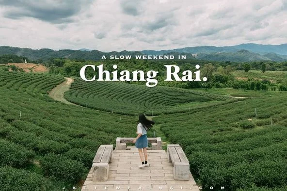Ghé Chiang mai, tạt ngang Chiang rai 💚
Cảm nhận cuộc sống nơi đây trôi đi một cách nhẹ nh