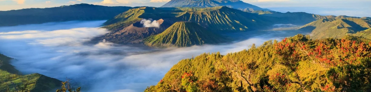Lạc vào thiên đường Indonesia's cover photo