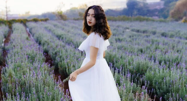 Đà Lạt có vườn hoa lavender lạ, cứ đứng vào là 'đẹp như công chúa'