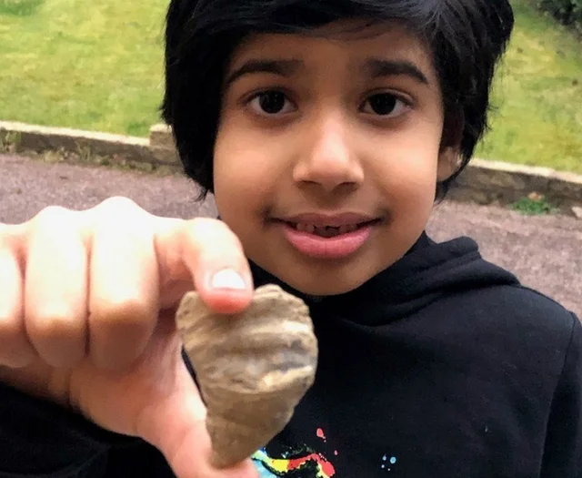 Walsall boy, 6, finds '488-million-year-old' fossil in garden