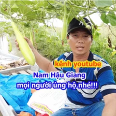 Lê Hoàng Nam's profile picture
