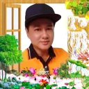 Dương Liêm VNT's profile picture