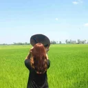 Cẩm Tiên's profile picture
