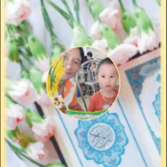 Nguyễn Quân's profile picture