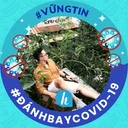 Minh Hải's profile picture