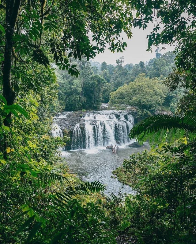 Chasing Waterfalls • Atherton Tablelands 🌿💙
📸 IG/ @mycolourfulworld_