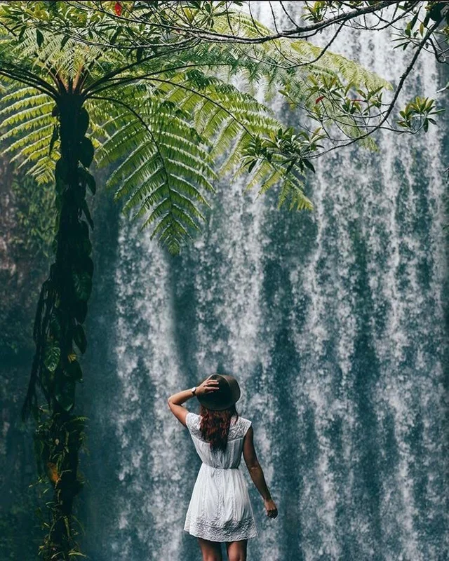 Chasing Waterfalls • Atherton Tablelands 🌿💙
📸 IG/ @mycolourfulworld_