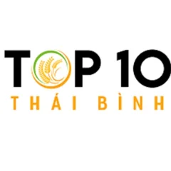 thaibinh top