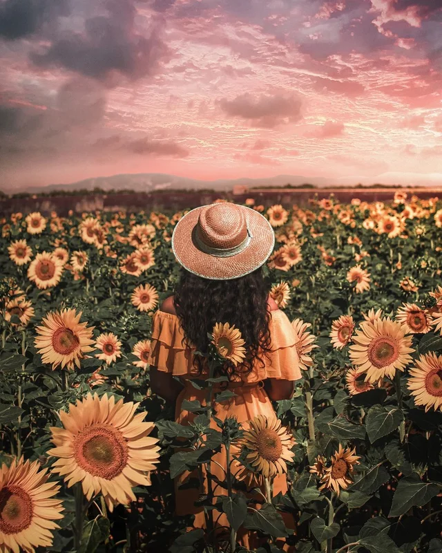 "A sunflower field is like a sky with a thousand suns.” ― Corina Abdulahm-Negura 🌻
Throwb