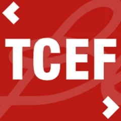 QUỸ ĐẦU TƯ CỔ PHIẾU TECHCOM TOP  CEFi Fund