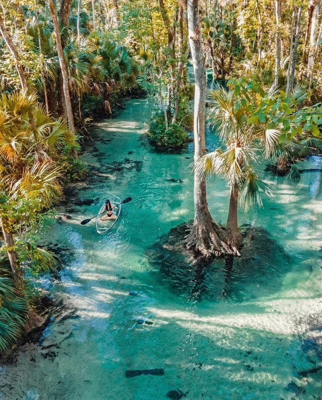 Florida springs 💦
📸 Instagram.com/daviddiez