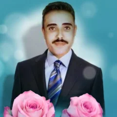 HOSSAM ELSAID ELALFY's profile picture