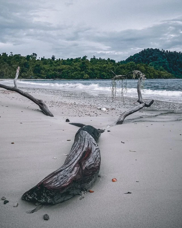 The Mergui Archipelago consists of about 800 islands that are quite deserted, far from the