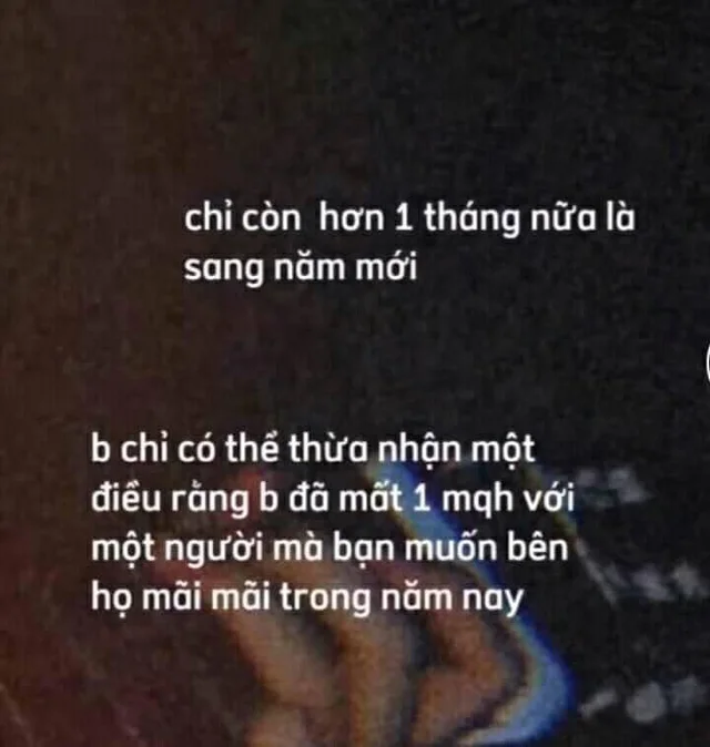 Việt Trần's photos