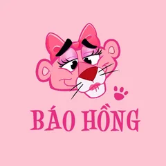 BÁO HỒNG's profile picture
