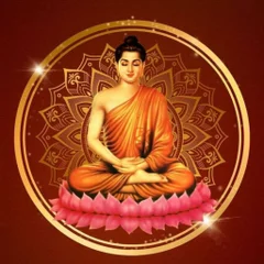 Vish Nu K Đônghoàngthái's profile picture