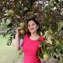 Nguyễn LINH AN