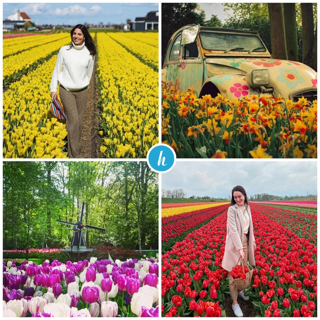  Visit the Keukenhof, the largest flower garden in the world