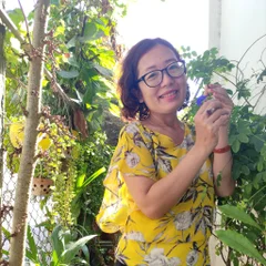 Lê Bình Phương Thảo's profile picture