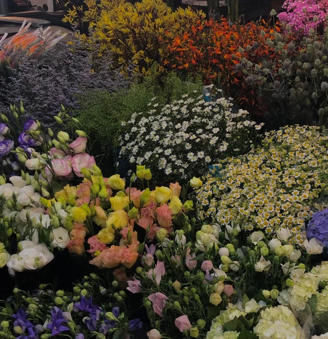 CHỢ HOA QUẢNG BÁ 🌸
Thông điệp từ vụ trụ, bạn phải đi mua hoa và tự tặng cho bản thân mình