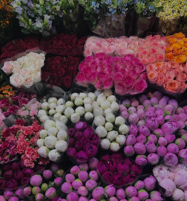 CHỢ HOA QUẢNG BÁ 🌸
Thông điệp từ vụ trụ, bạn phải đi mua hoa và tự tặng cho bản thân mình