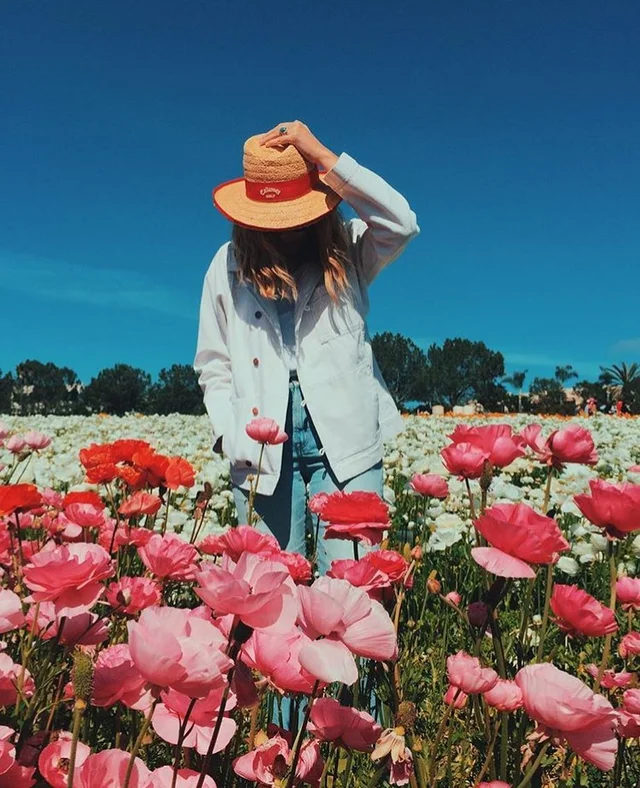 Walking through flower fields in Carlsbad. And you can too, they are in full bloom right n