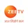 ZEE TV's profile picture