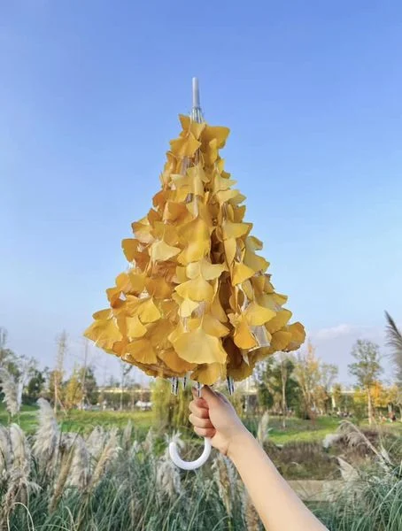 Tips chụp hình mùa Thu với ô trong suốt và lá vàng siêu hot 🍂