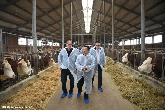 Inspired by my field visit to a Hungarian dairy farm today. Leveraging digitalization, aut