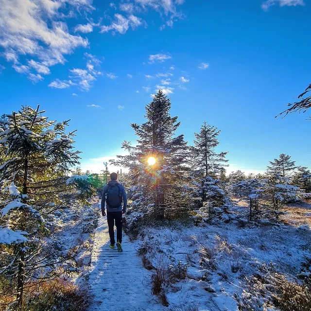 Walking in a winter wonderland ❄❄❄