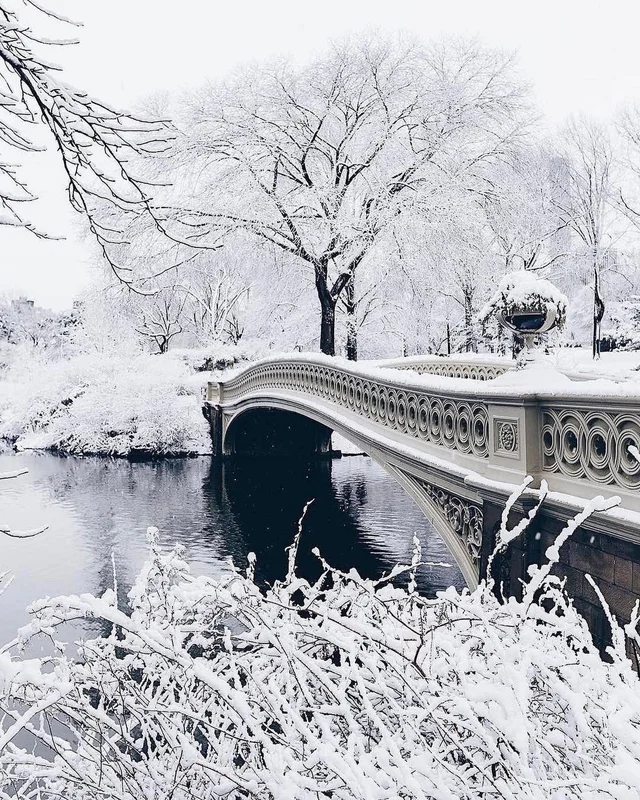Dreaming of winter ❄️
📸 @jssilberman
📍 New York, USA 🇺🇸