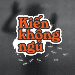 Kiến  Không Ngủ's profile picture