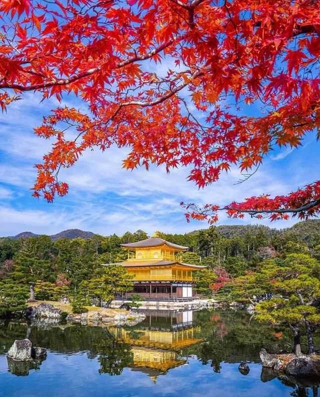 🇯🇵 Japan 
 📌Chùa Vàng Kyoto mùa Thu
📸Nhật Bản Đó Đây 

Pic: anhdepdoday

#nhatrangbook