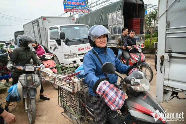THƯƠNG LÁI KHẮP NƠI ĐỔ VỀ CHỢ BUÔN CÂY LỚN NHẤT MIỀN BẮC ‼
Chợ cây cảnh Văn Giang (Hưng Yê