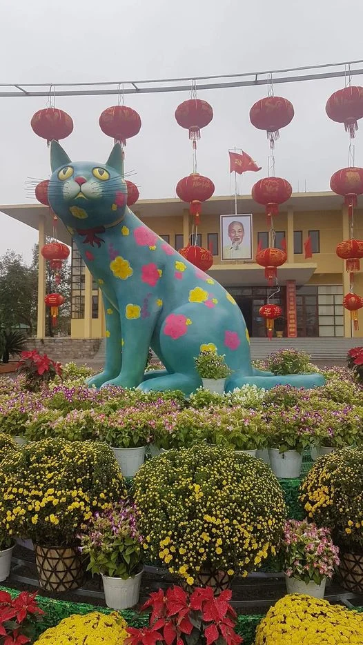 Mèo Phú Vang Huế chào 500AE😂😂