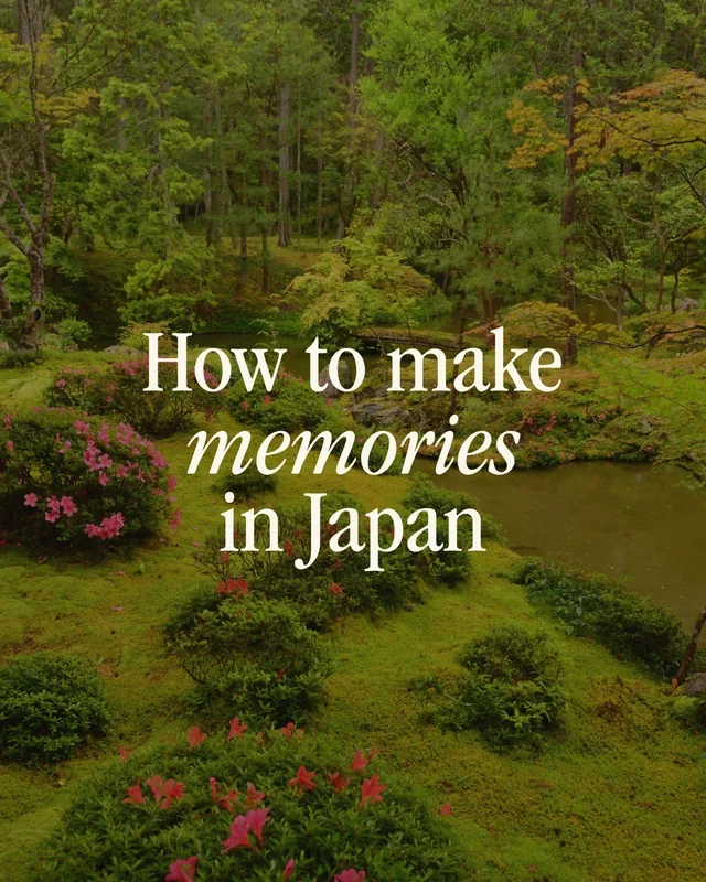 JAPAN IS ✨DAZZLING ✨ 

It manages to both delight you instantly and have you come back to 