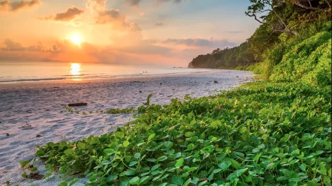 7 Places To Visit In The Andaman And Nicobar Islands