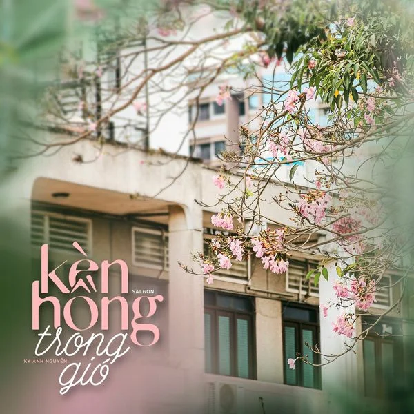 Nếu Hà Nội có mùa hoa sữa ngào ngạt thì Sài Gòn có mùa kèn hồng thơ mộng 💮 
Người Sài Gòn