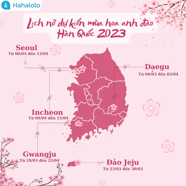 🌸🌸 LỊCH NỞ DỰ KIẾN MÙA HOA ANH ĐÀO HÀN QUỐC NĂM 2023

Nếu như mùa thu Hàn Quốc nổi tiếng