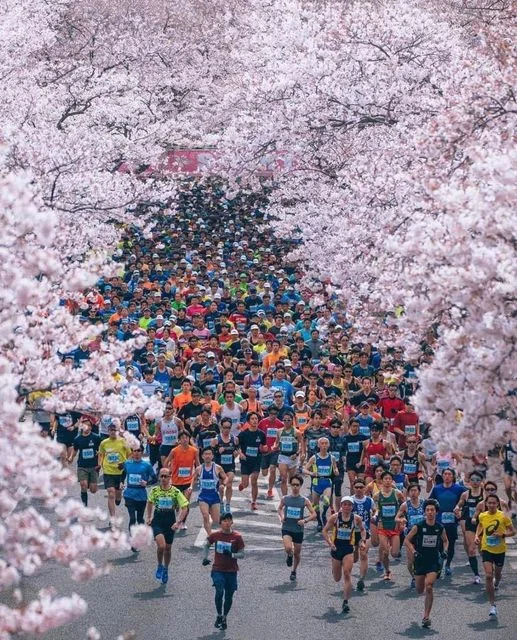 Chạy giữa mùa hoa anh đào 🌸 🏃🏻‍♀️🏃🏻‍♂️🌸
Ibaraki - Nhật Bản
------
 📸 @hirokingraphy