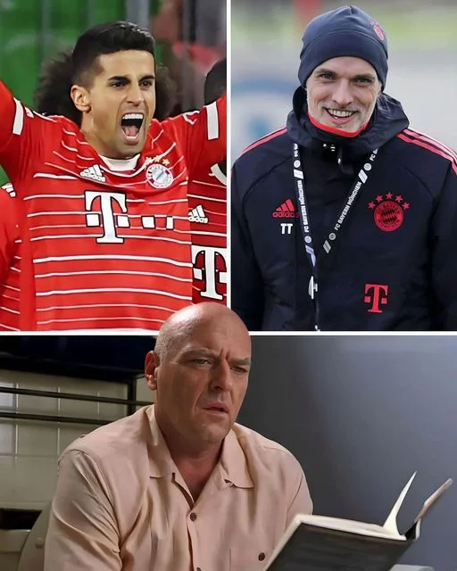 🏆🦁 BAYERN MUNICH SẼ “ĂN 6” MÙA GIẢI 2022/23 ⁉️
Lần gần nhất Bayern Munich mượn một hậu v
