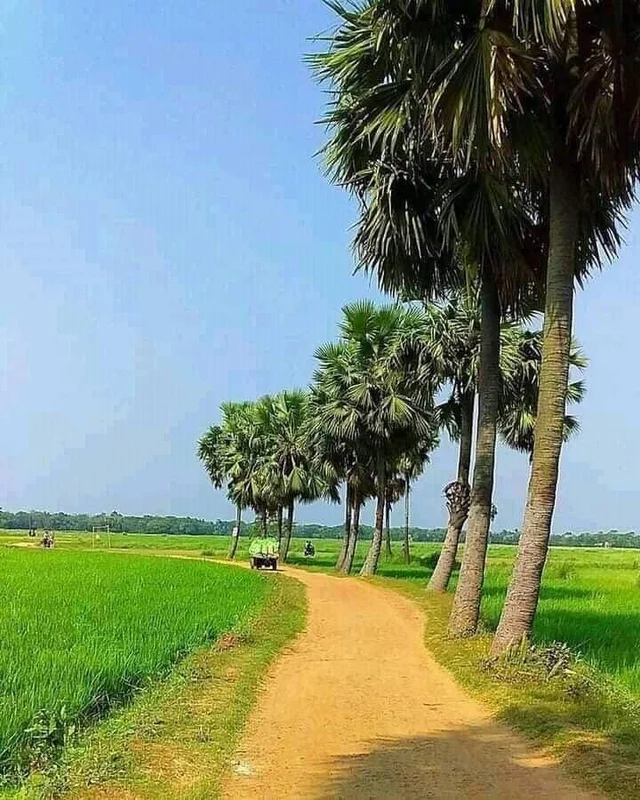 West Bengal 💚💚💚