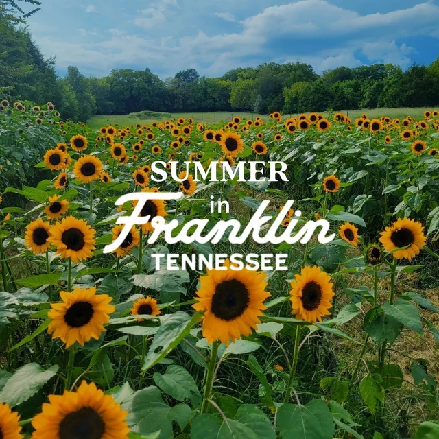 ENJOY YOUR SUMMER IN "THE SOUTH'S MOST CHARMING TOWN" 